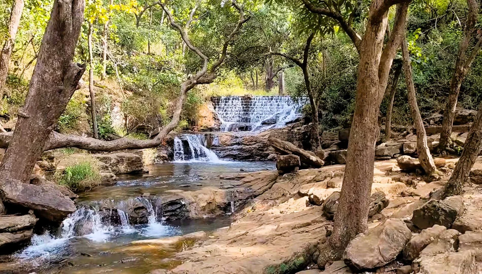 5 Days Pachmarhi and Satpura Wildlife Tour
