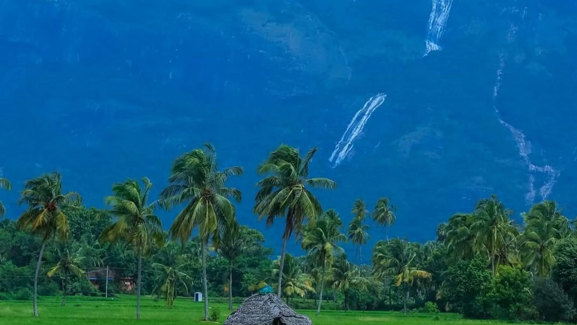 6 Days Thrissur, Palakkad and Kumarakom Tour photo 3