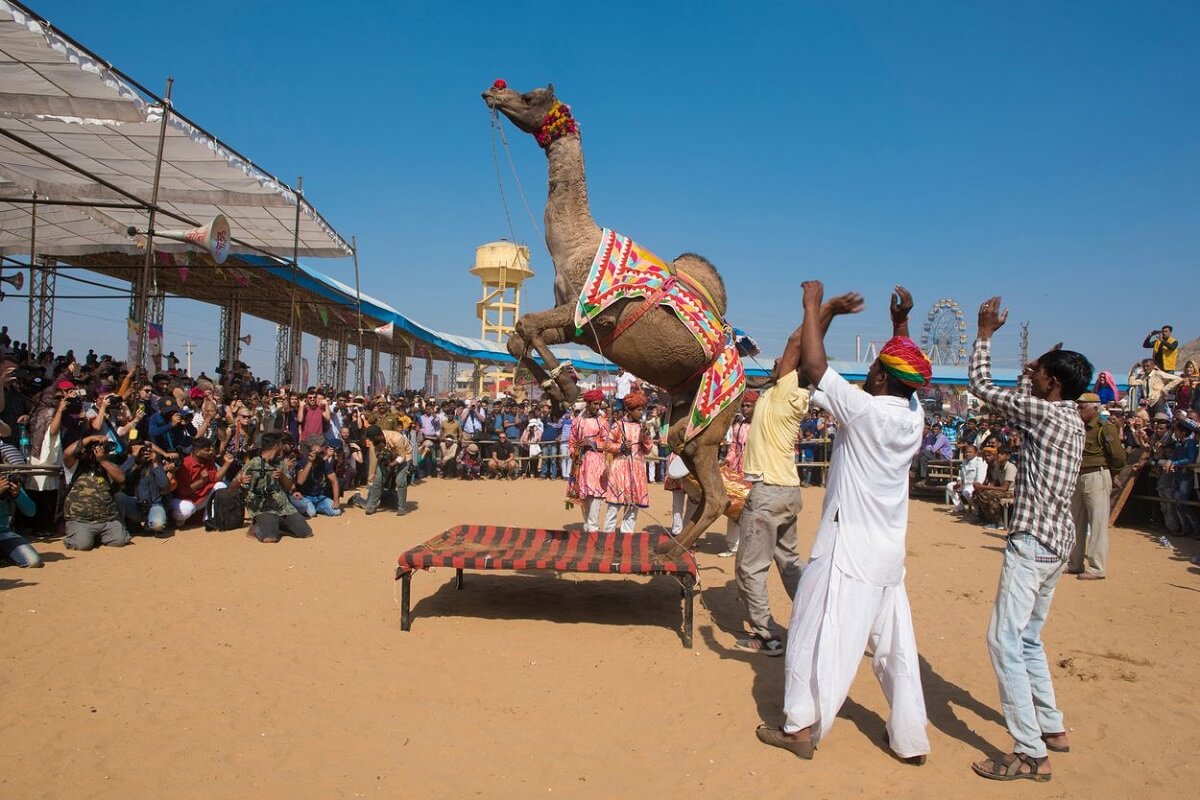 Pushkar rural portraits and camel fair sunset photography