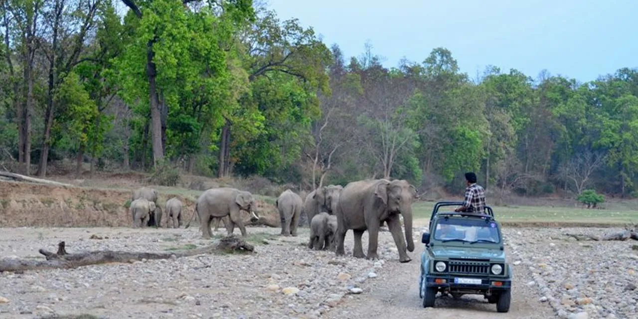 7 Days Uttarakhand Wildlife photo 5