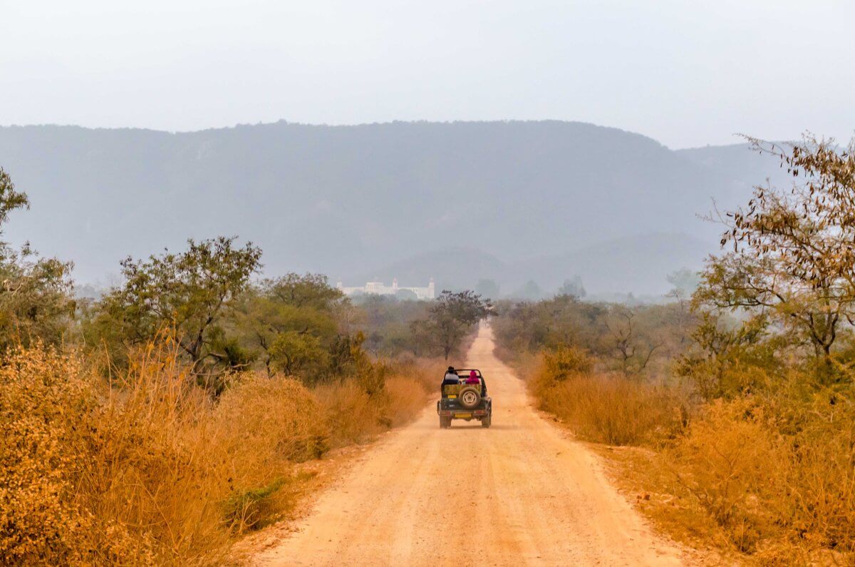 Sariska Tiger Reserve wildlife safari