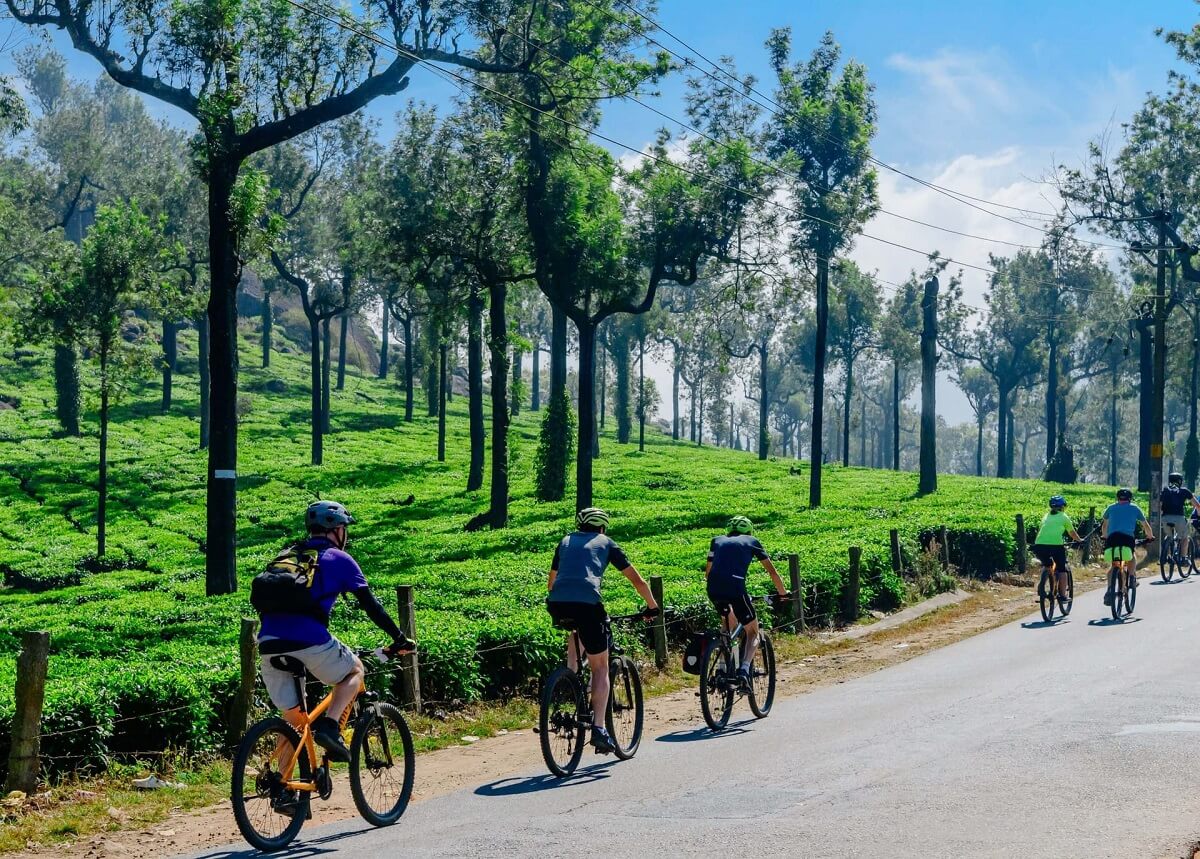 14 Days Kerala & Tropical South India Cycling Tour