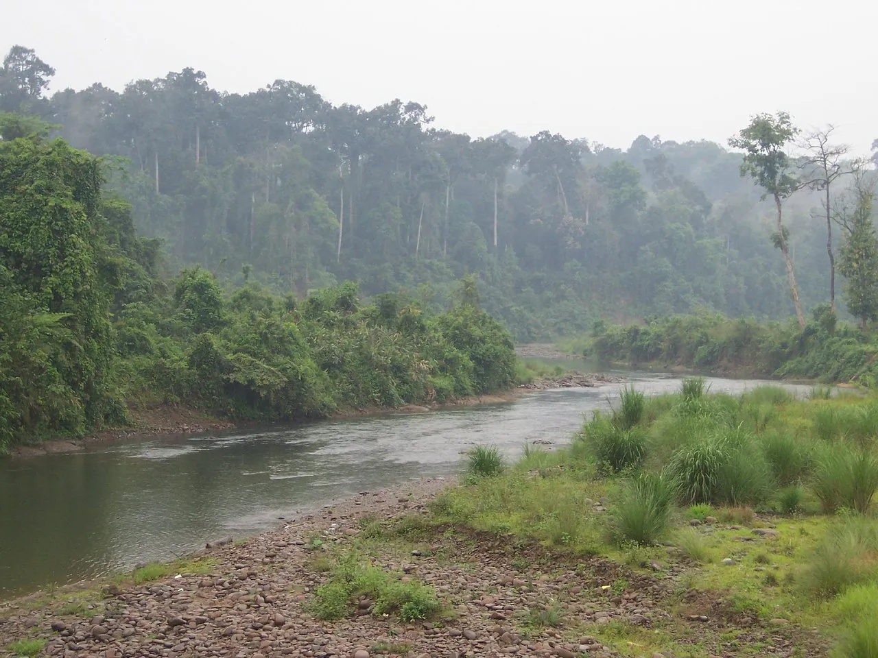 5 Days Dibrugarh, Tinsukia, Dibru-Saikhowa & Dehing Patkai Tour photo 4