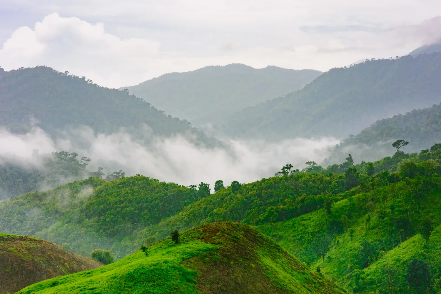 5 Days Kozhikode and Wayanad Nature Tour photo 3