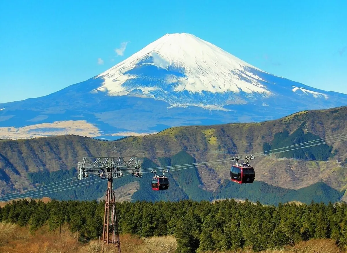 Japan Autumn Foliage Tours