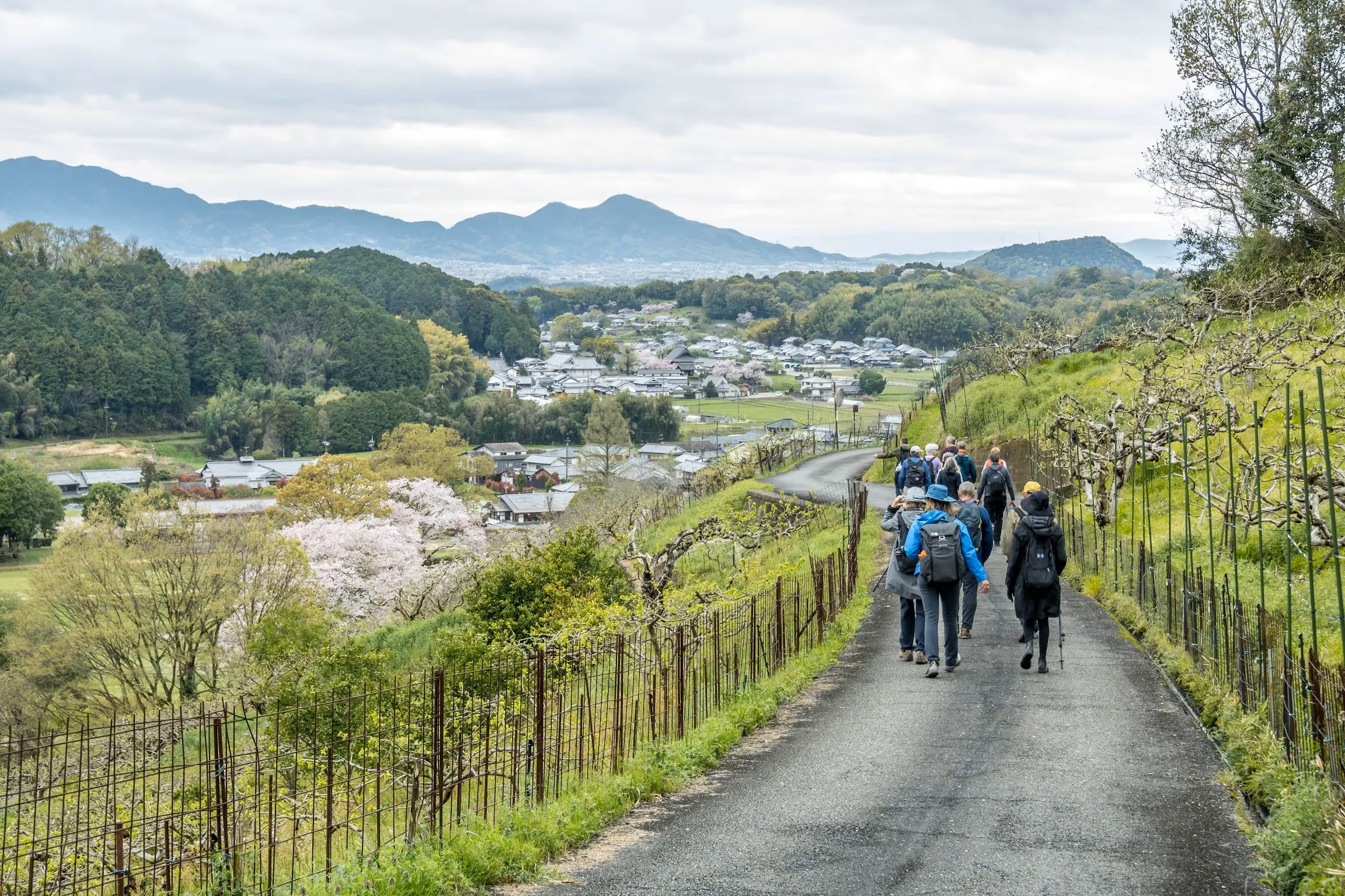 Japan adventure tours with Mt Fuji, Japanese Alps, hiking and Hokkaido