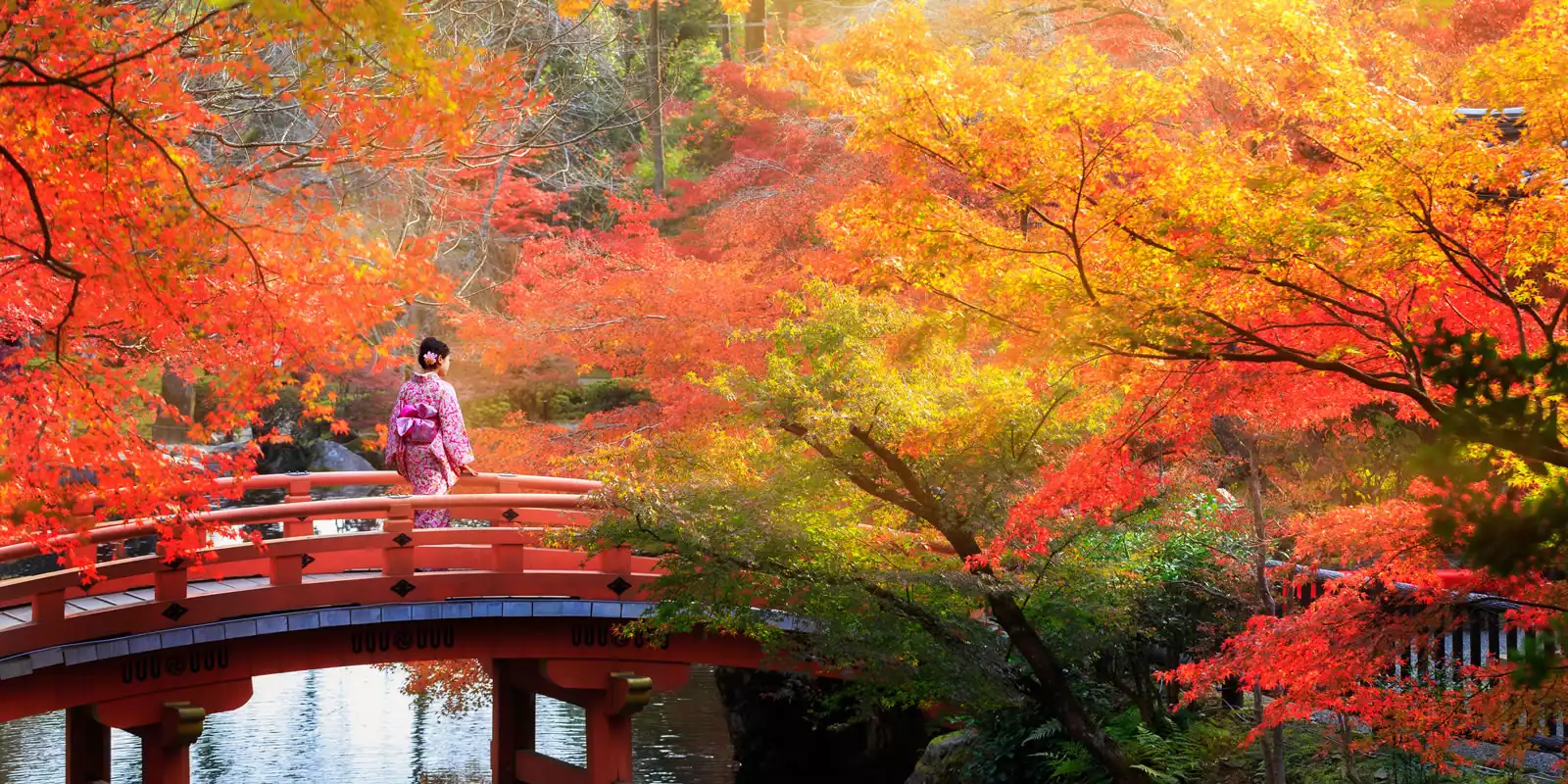 Japan autumn foliage tours with red maple leaves in Kyoto, Nikko and the Japanese Alps