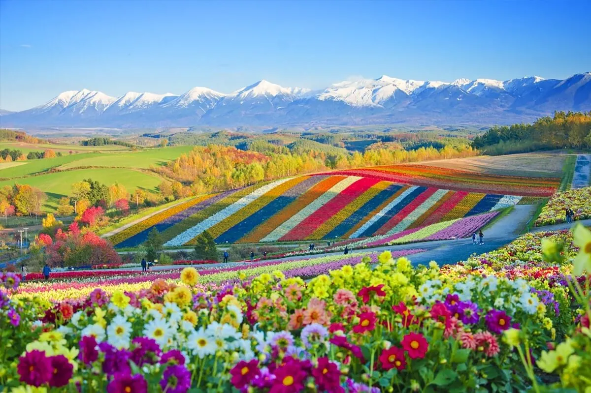 Private Hokkaido tours covering Sapporo Otaru Furano Biei and Noboribetsu
