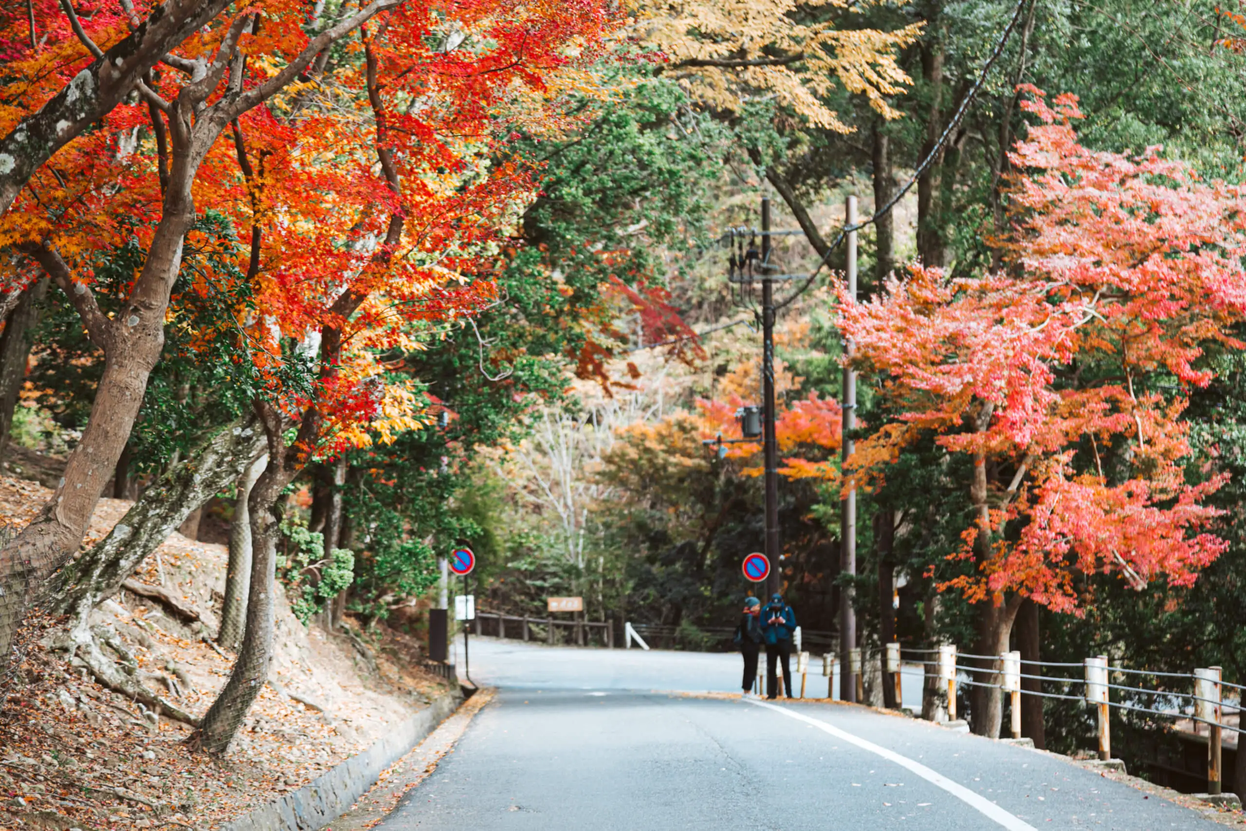 14 Days Grand Japan Tour with Tokyo Alps Kyoto and Hiroshima