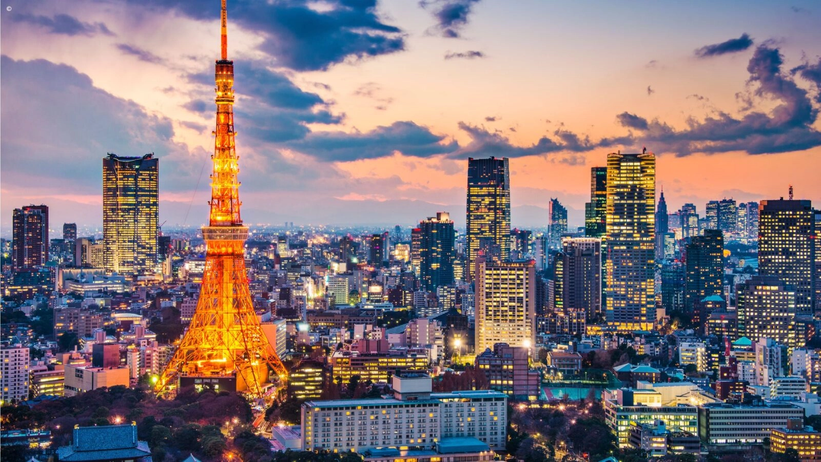 Tokyo sightseeing with traditional and modern districts