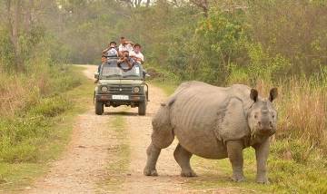 Guwahati Kaziranga 5 days Tour Itinerary