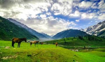 5 Days Kashmir tour packages