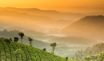 8 Days Kerala Tour Packages Itinerary