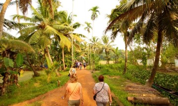 8 Days Kerala Tour Packages Itinerary