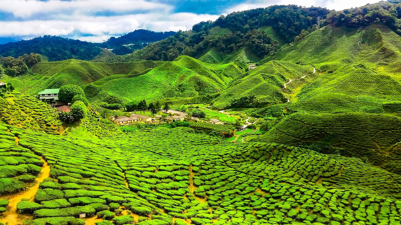 Cameron Highlands Tours with curated Malaysia sightseeing, comfortable routing, and flexible itineraries