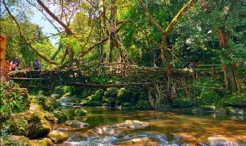 mawlyong shilong tour