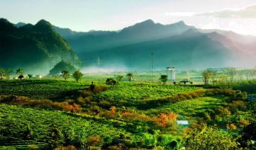 3 days munnar itinerary