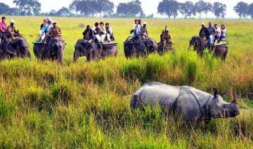 North East India Wildlife Tour