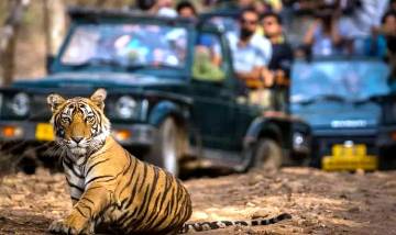 8 Nights 9 Days golden triangle with Tiger tour packages