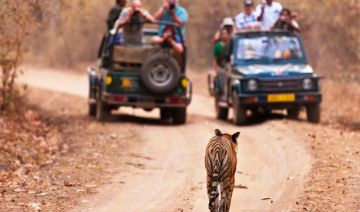 Jim Corbett National Park Tour from Delhi